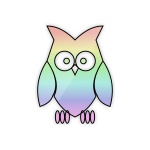 Rainbow owl 4