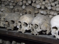 Valódi emberi koponyák