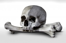 Valódi koponya és keresztezett csontok