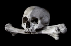 Echte schedel en gekruiste beenderen
