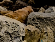 Rock Formations Background