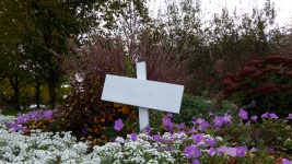 Spring Garden with blank sign