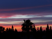Solnedgång vid Newport Beach
