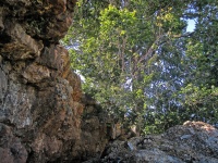 Tall rock overhang
