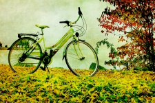 Vintage Bike Autumn Leaves