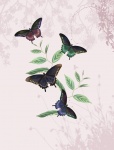 Vintage Butterflies Background 3