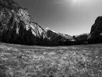 Yosemite-Feld