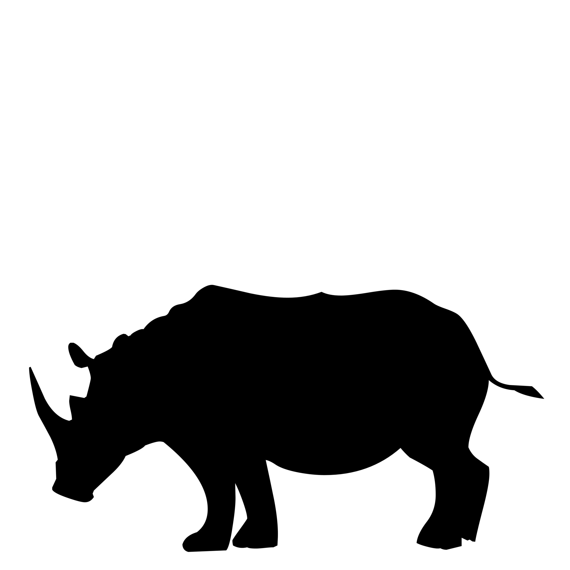 非洲犀牛