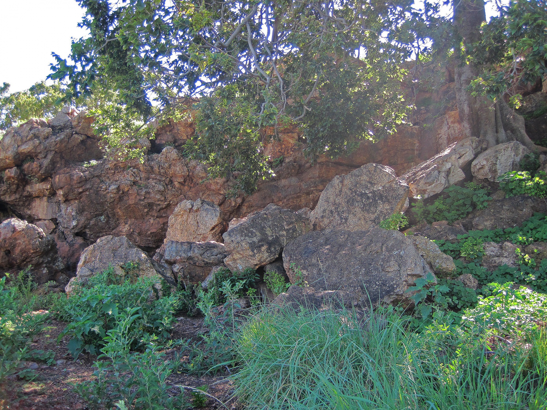 Gebied met grote rotsen rond bomen