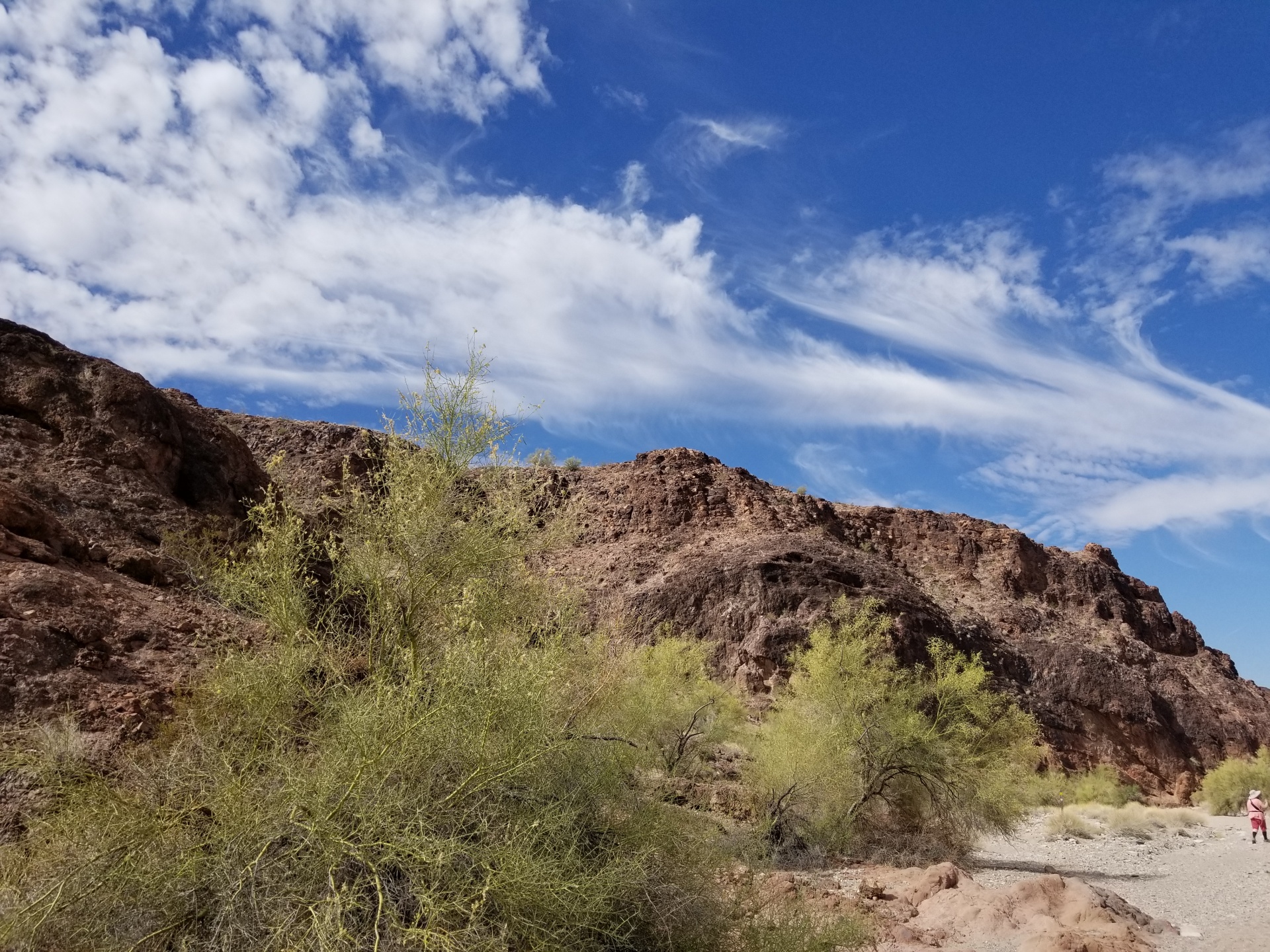 Arizona woestijnlandschap