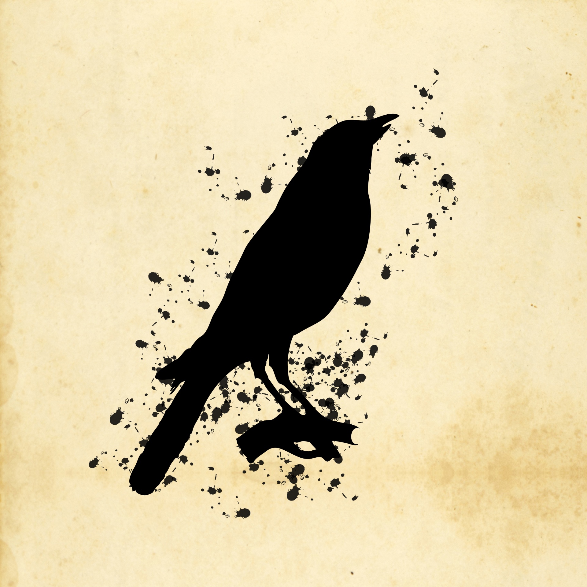 Bird Paint Splatter Illustratie