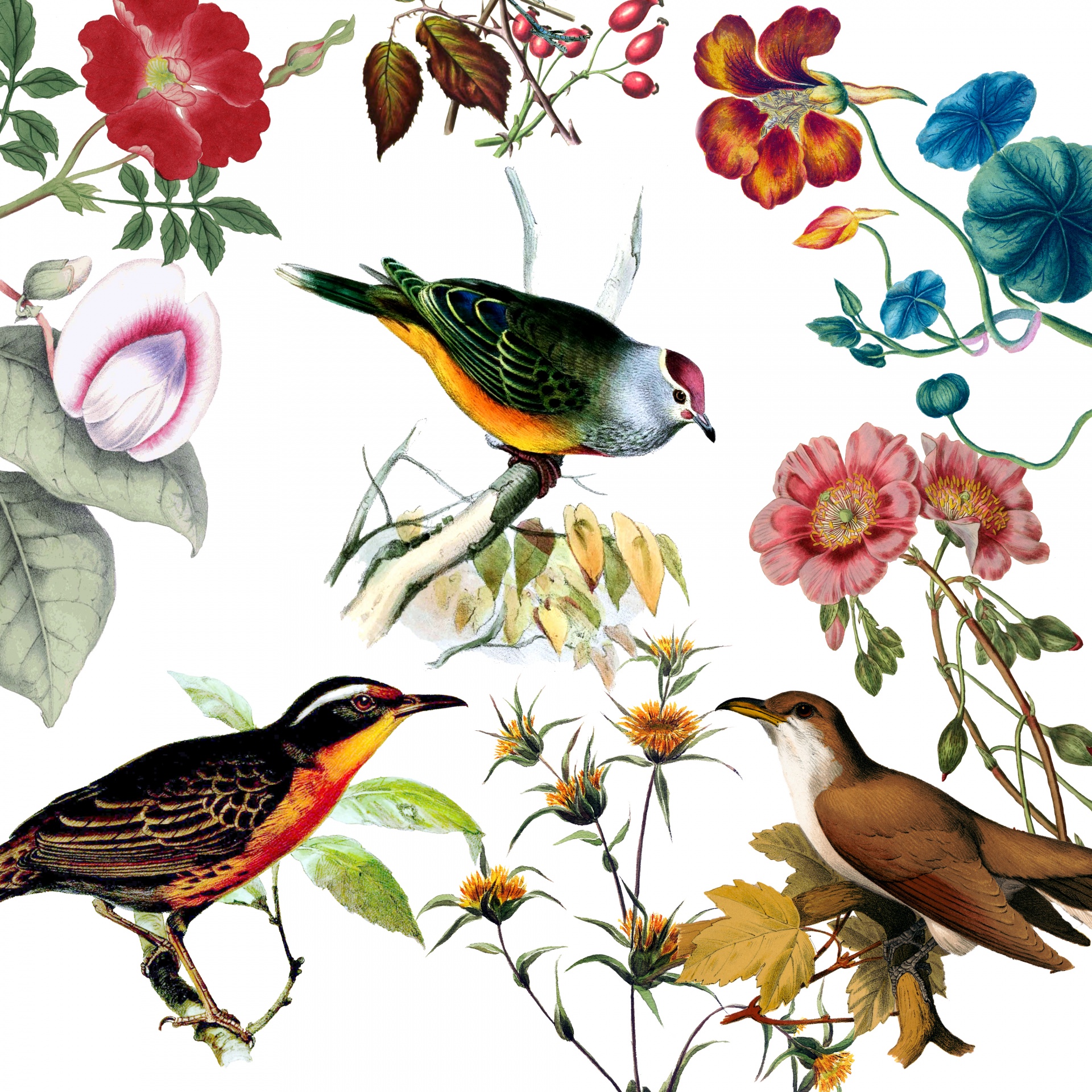 Vogels Vintage bloemen achtergrond