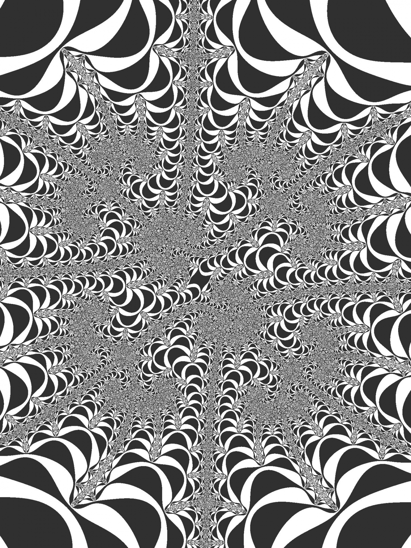 Zwart - witte fractal