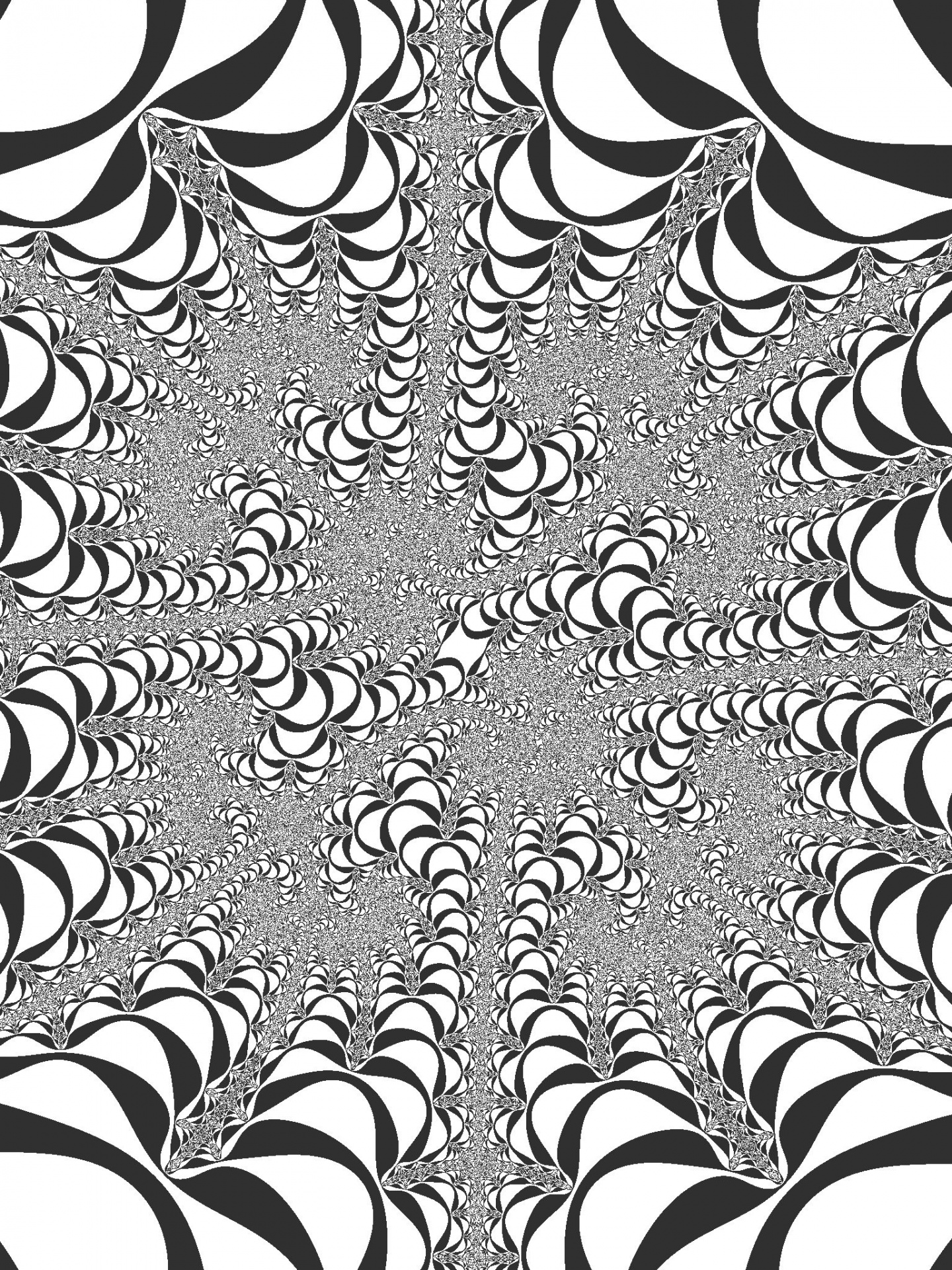 Zwart - witte fractal