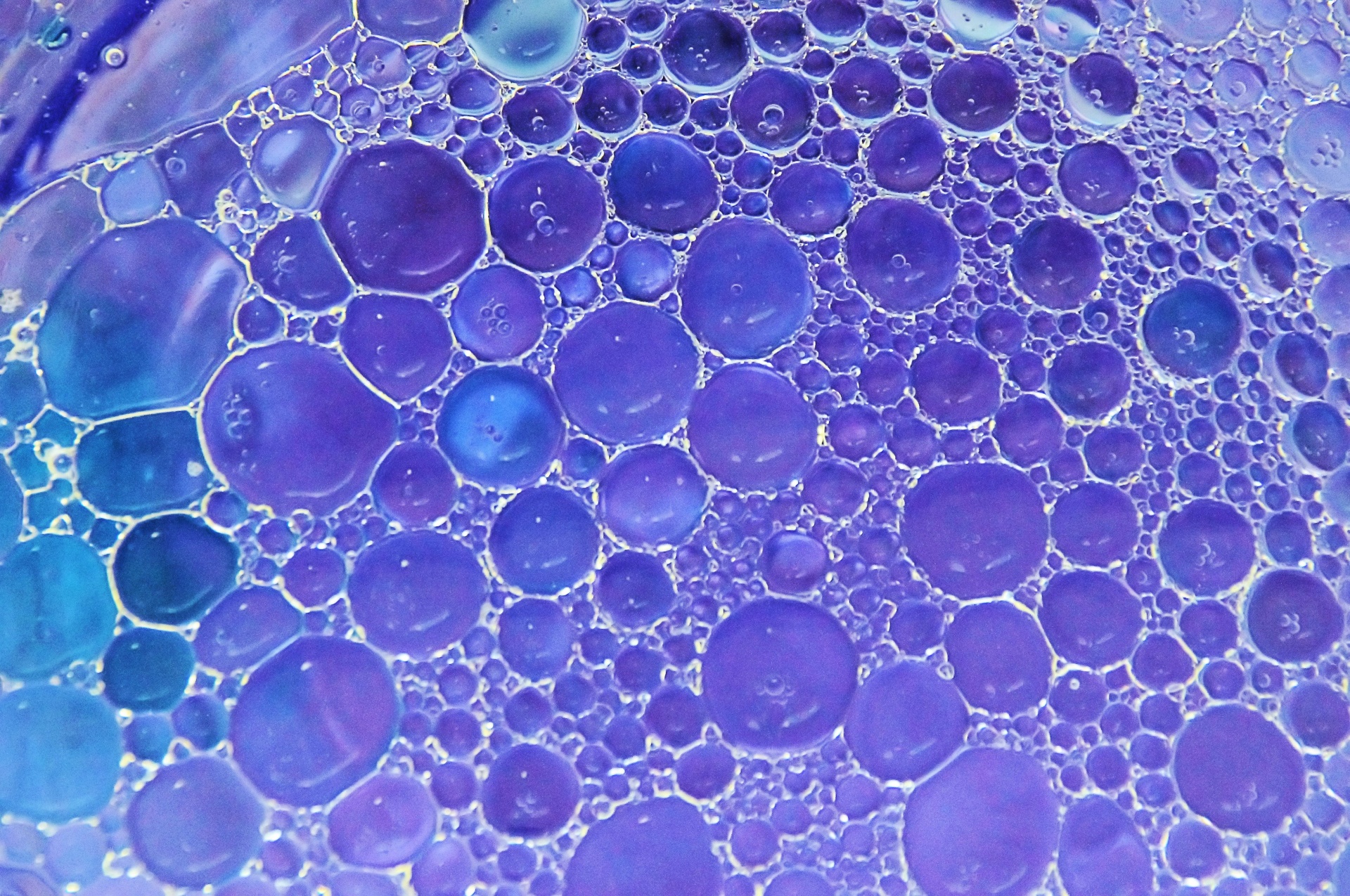 Blauwe bubbels achtergrond
