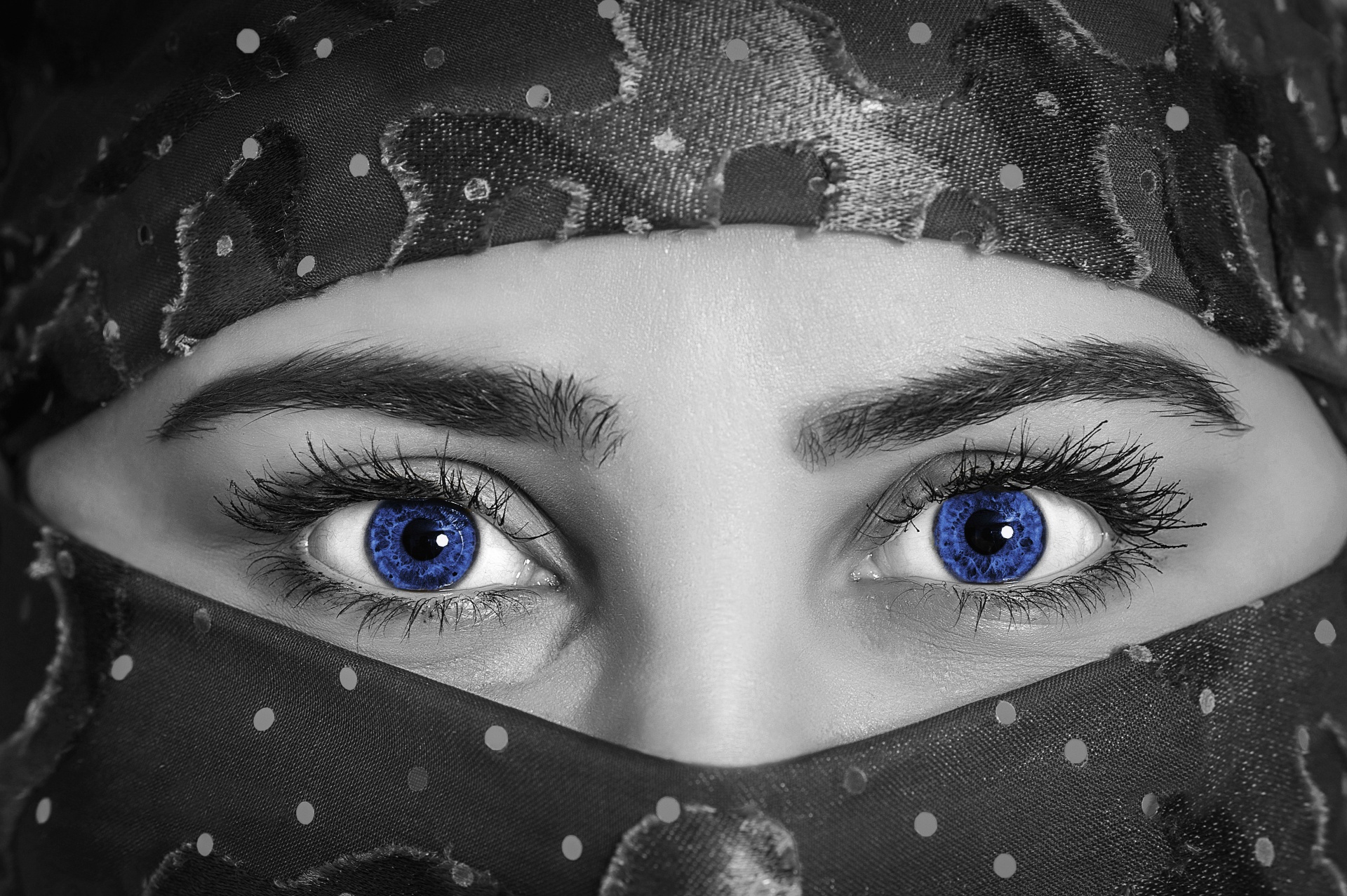 Blauwe ogen van de vrouw