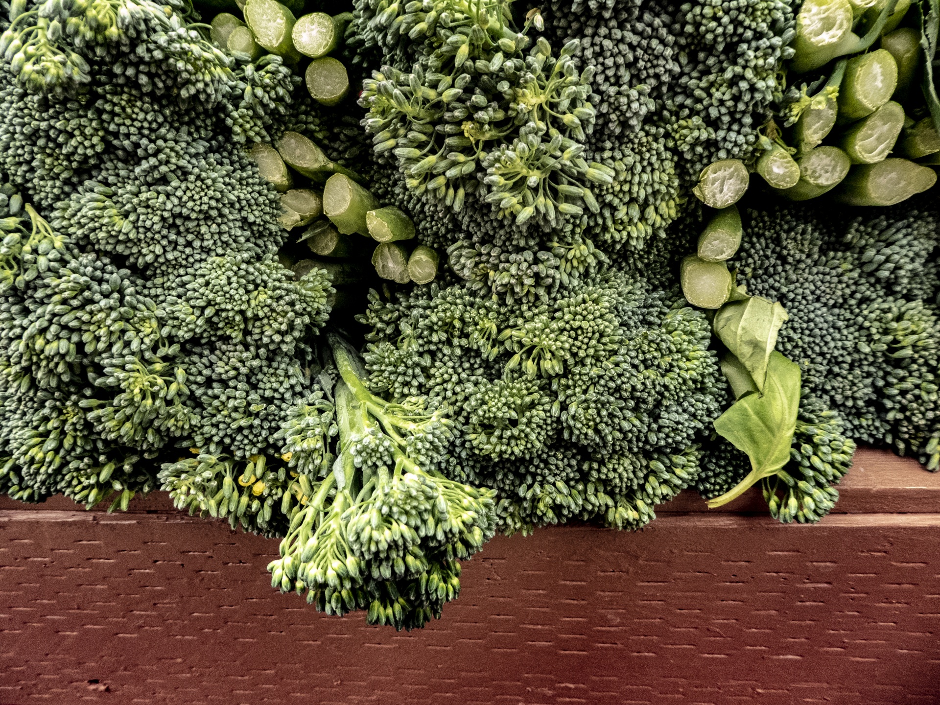 Broccoli groene groente