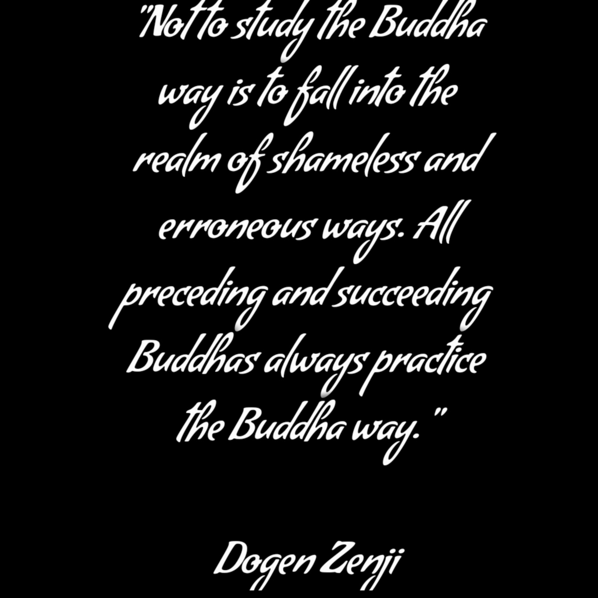 Boeddha weg door dogen zenji