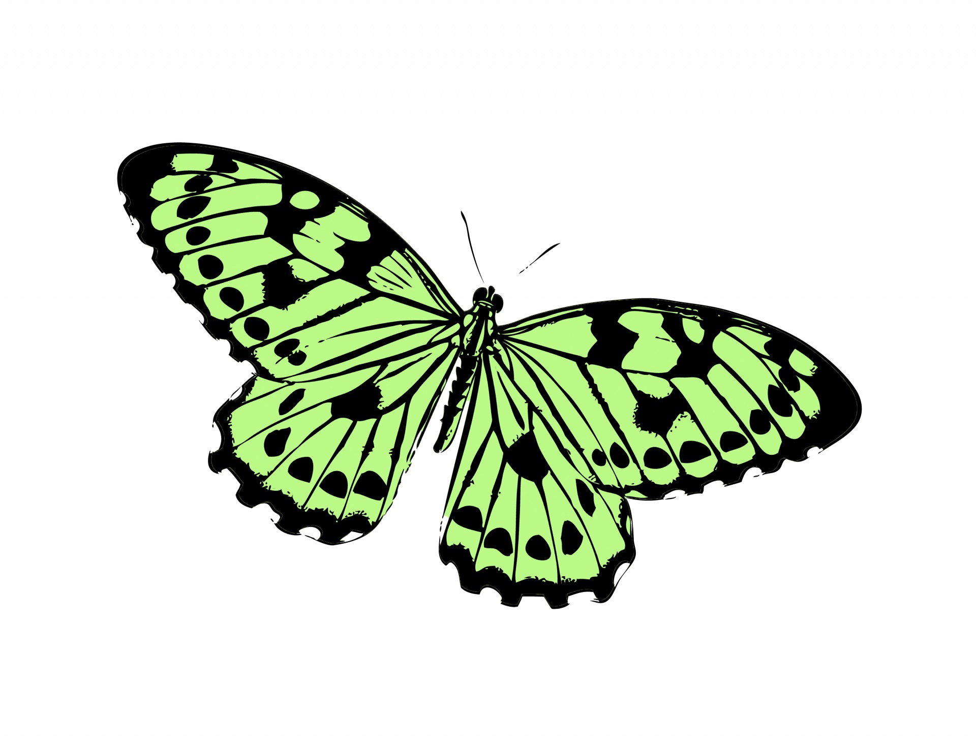 Butterfly Clipart Illustratie