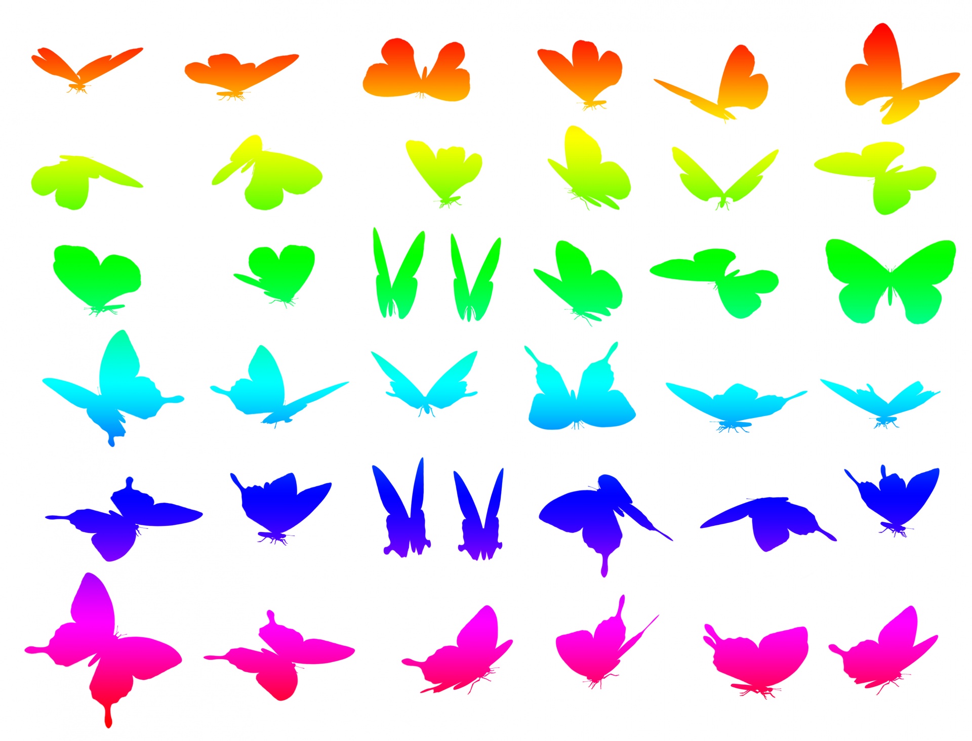 Butterfly Clipart regenboogkleuren