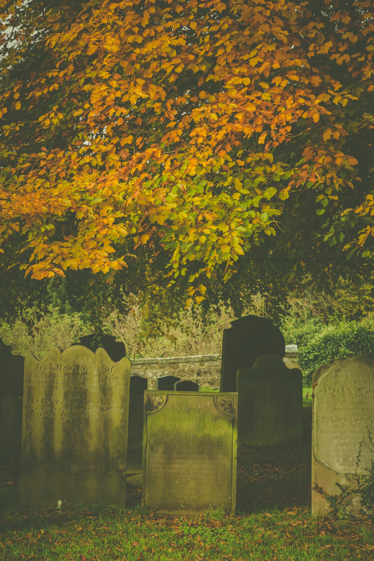 Begraafplaats in de herfst