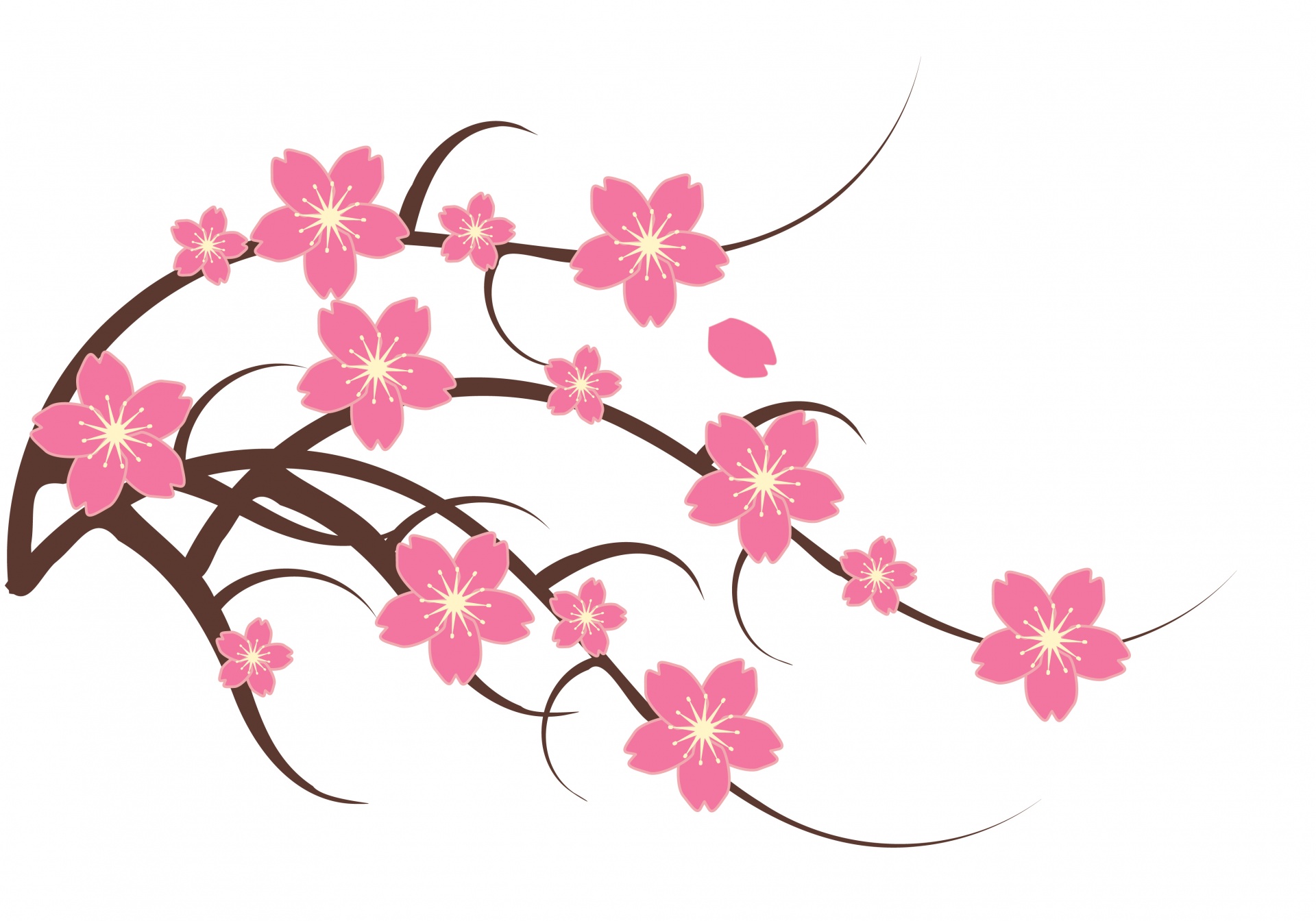 Ilustracja kwiat wiśniowy Clipart