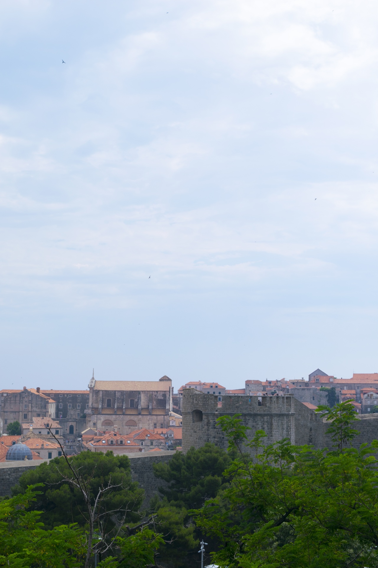Dubrovnik Afbeelding 110