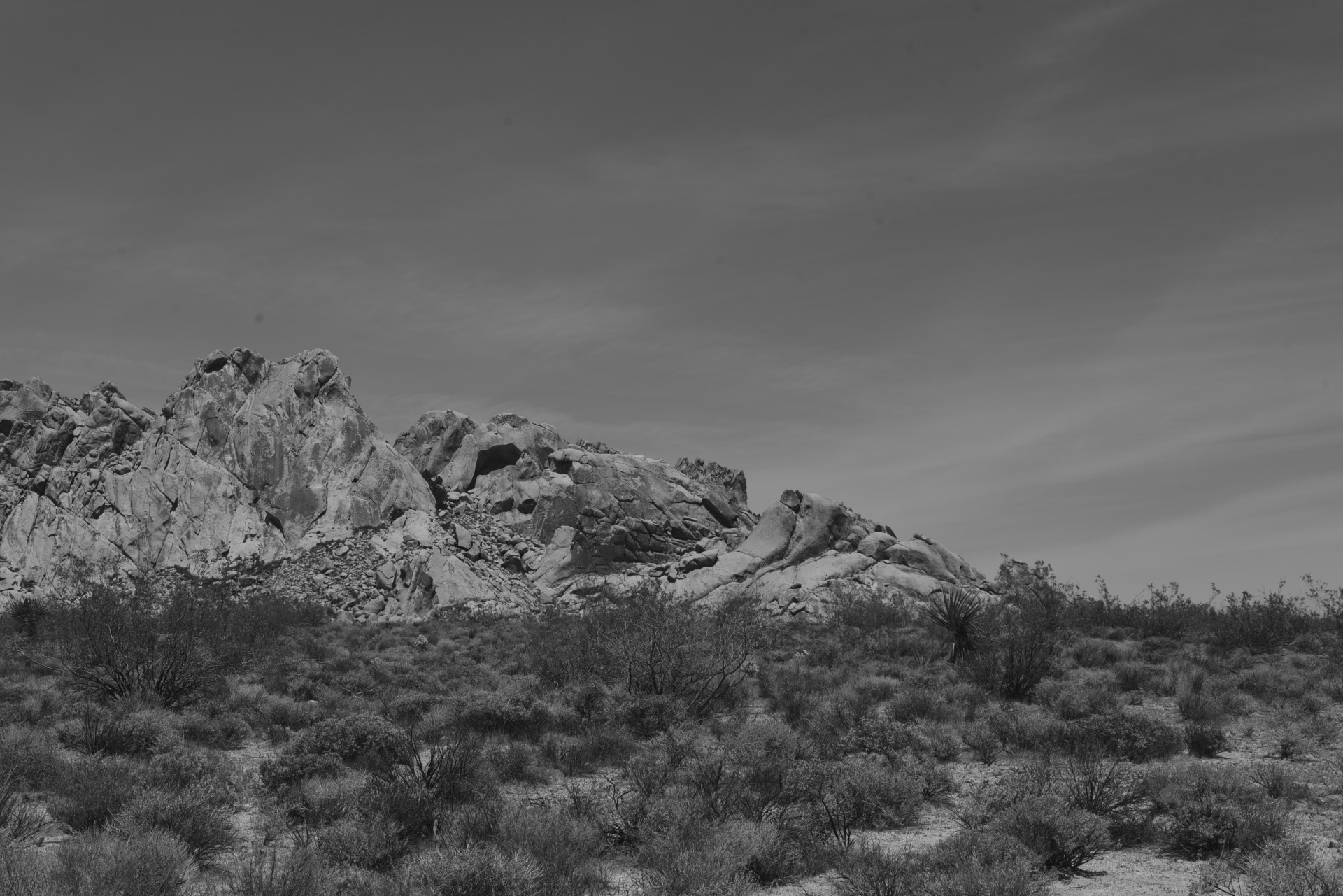 Desert Landscape In Black And White