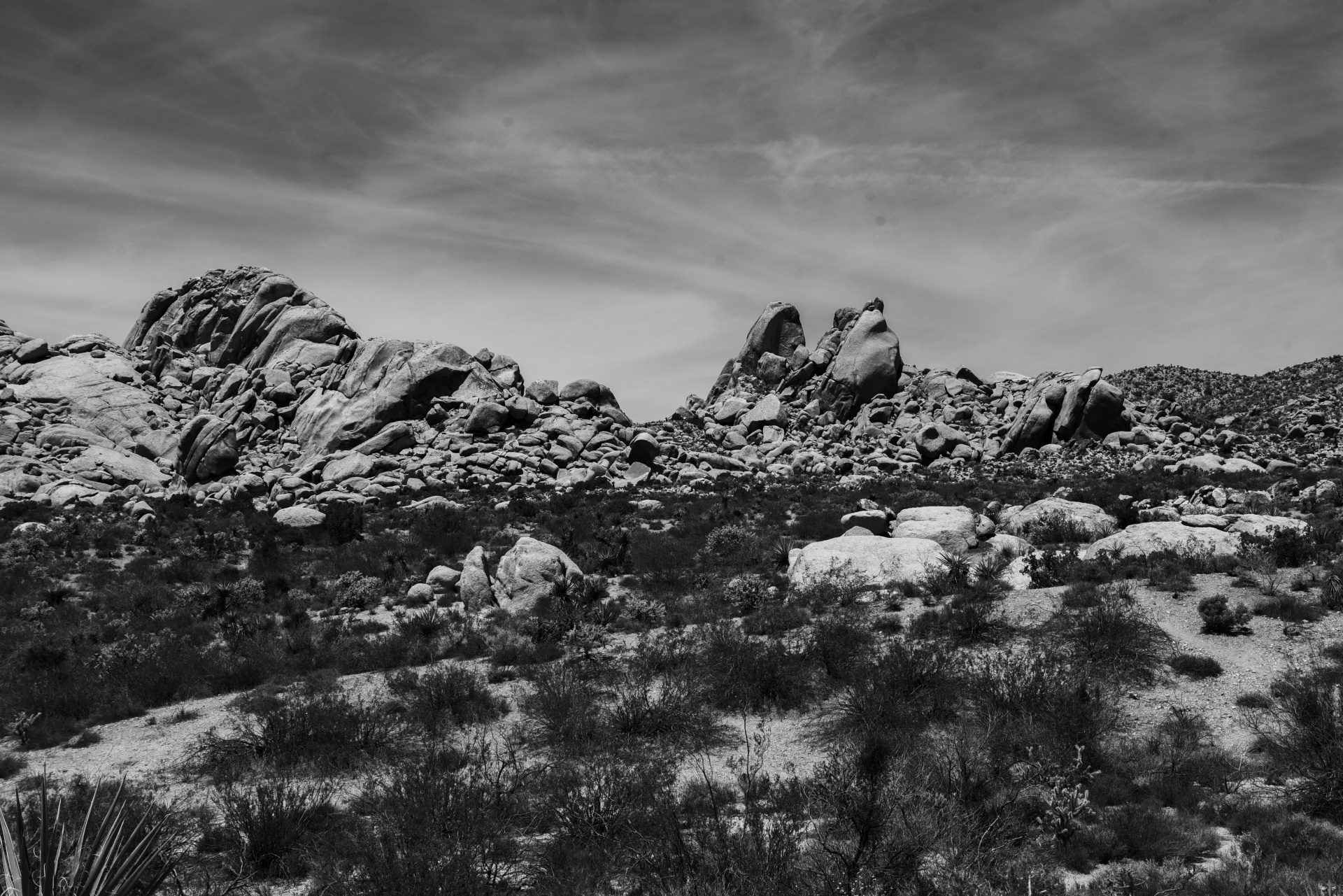 Formaciones de roca del desierto