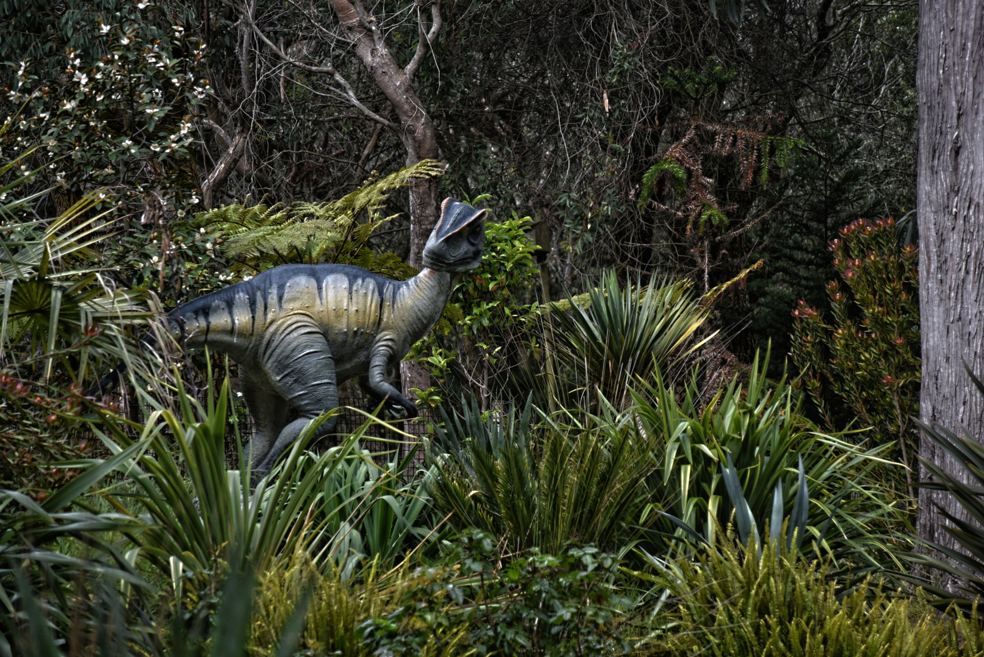 Dinosaur display buitenshuis