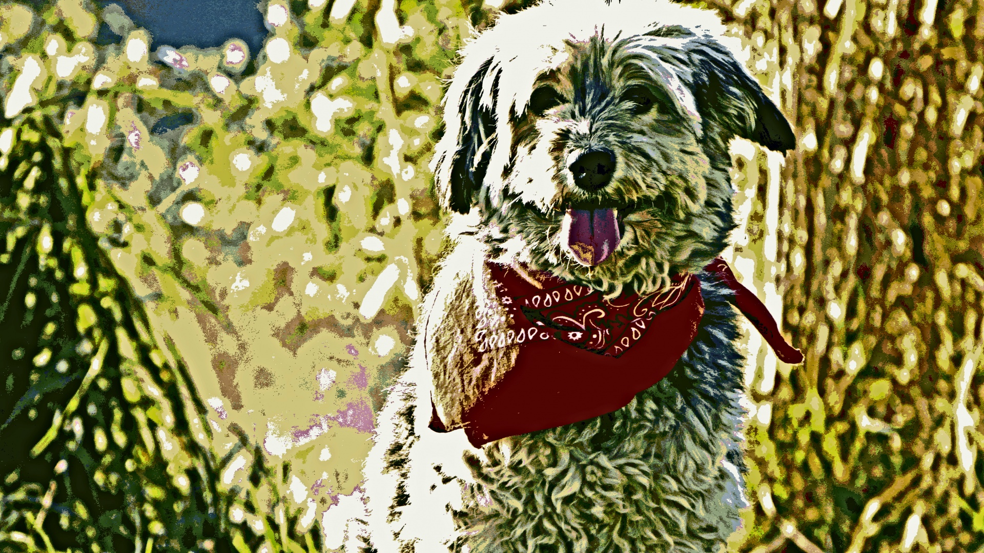 Hond met rode sjaal