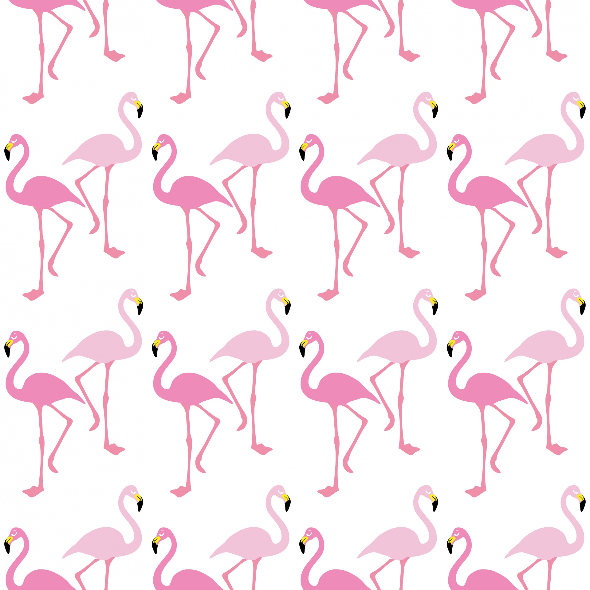 Flamingo Wallpaper Achtergrond