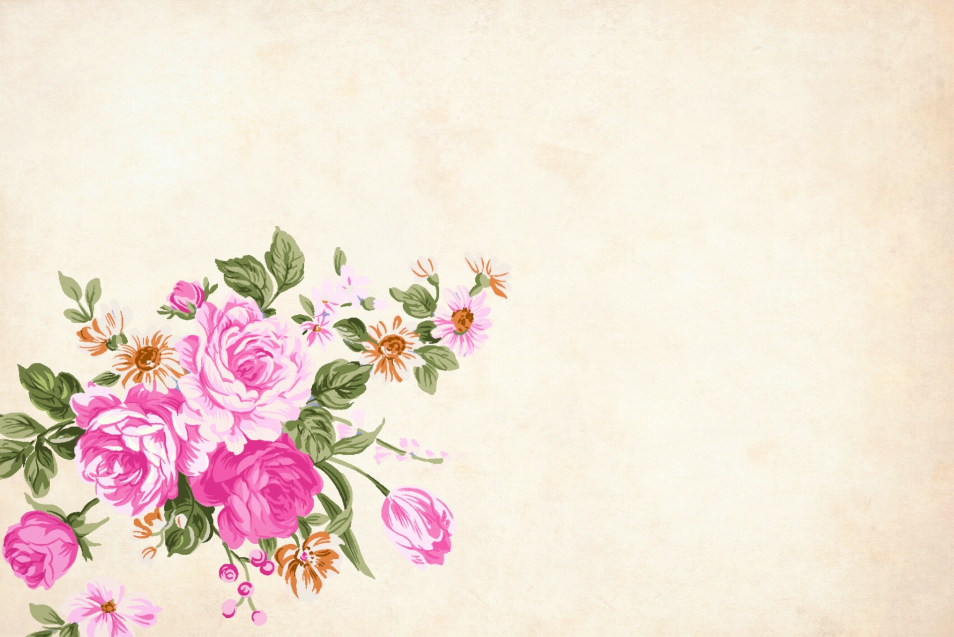 花卉，花卉，背景，边框