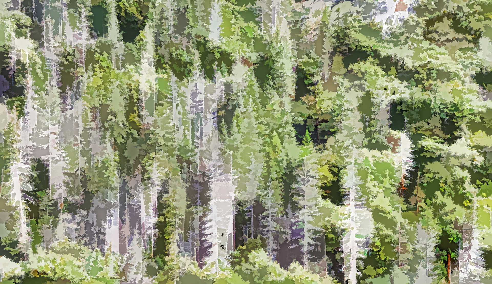 Bos bomen achtergrond