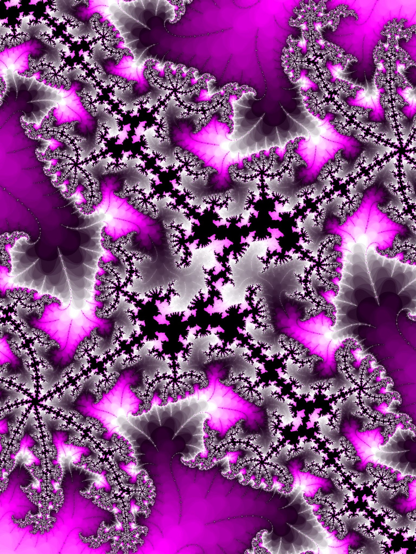分形螺旋在紫色的颜色