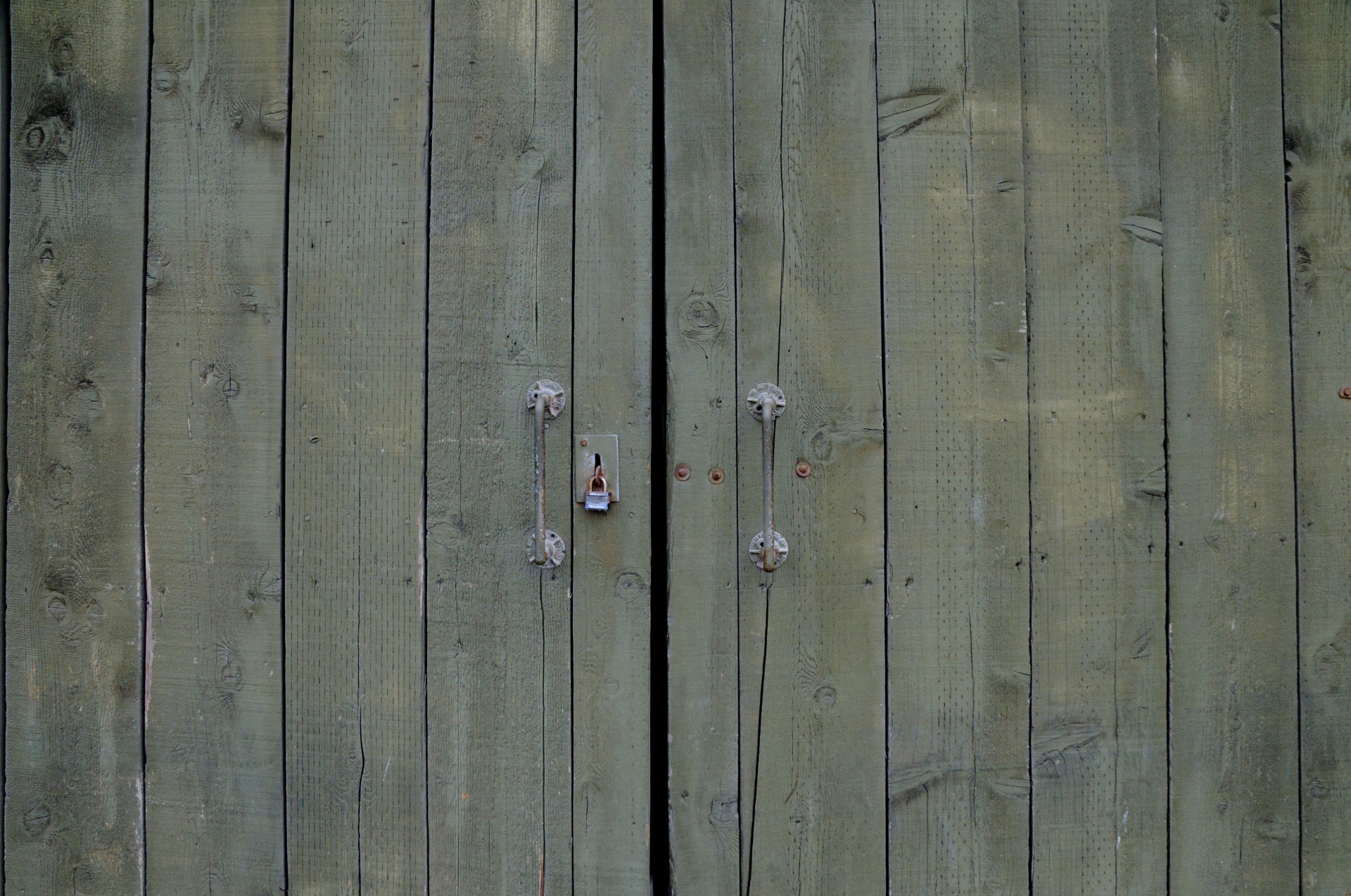 Grunge木面板门背景