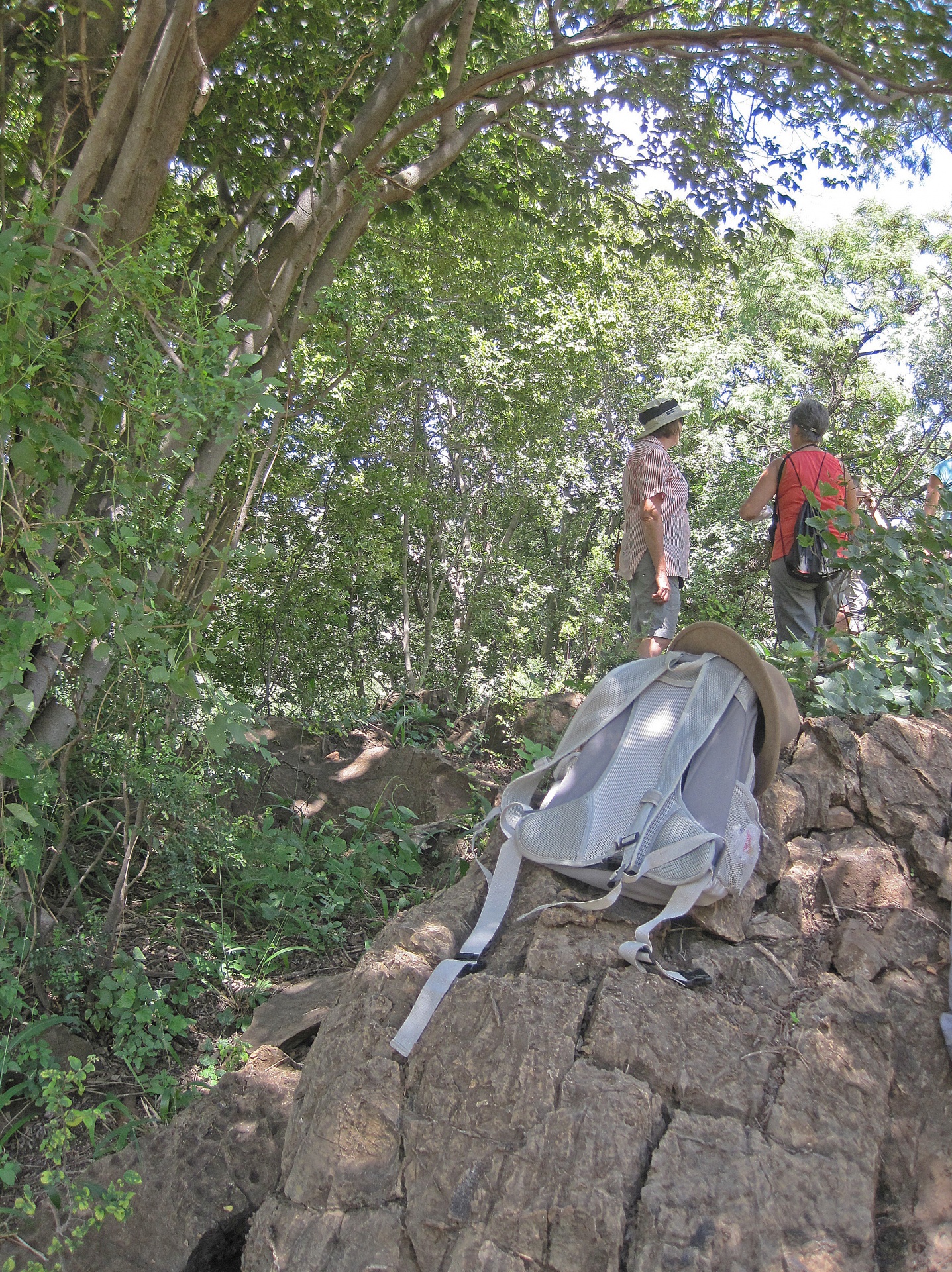 Wandelaars met rugzak op een rots