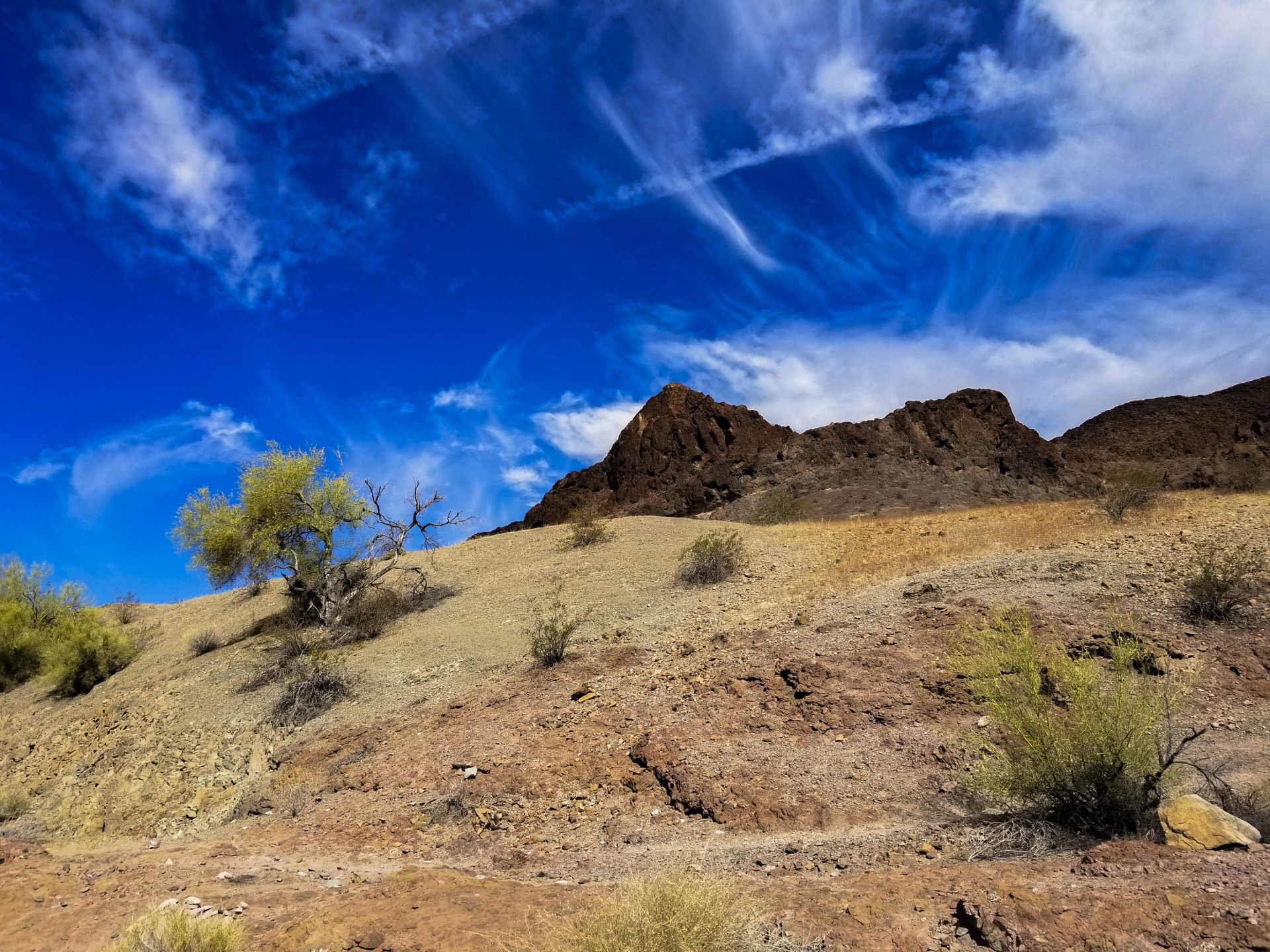 Hillside Desert Scenic Landscape