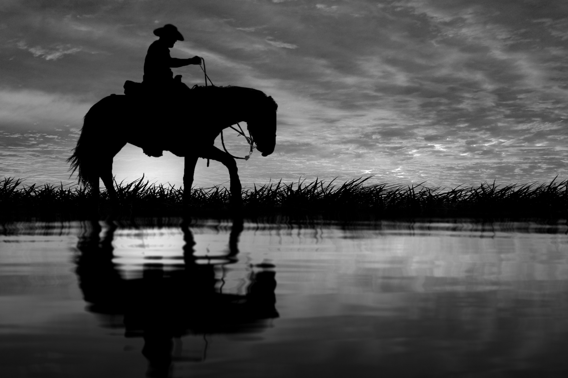 Paard silhouet Cowboy