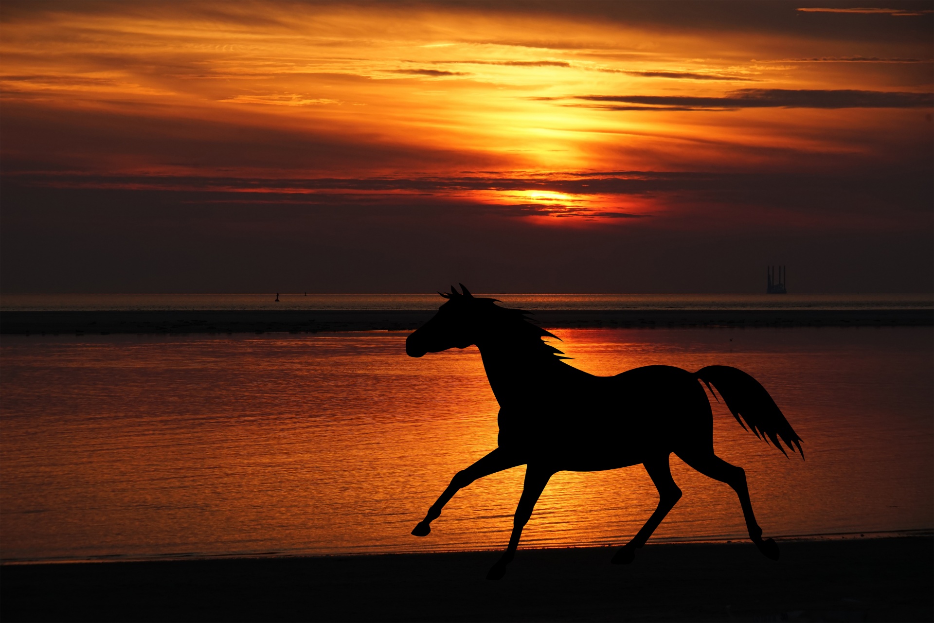 马剪影日落海滩