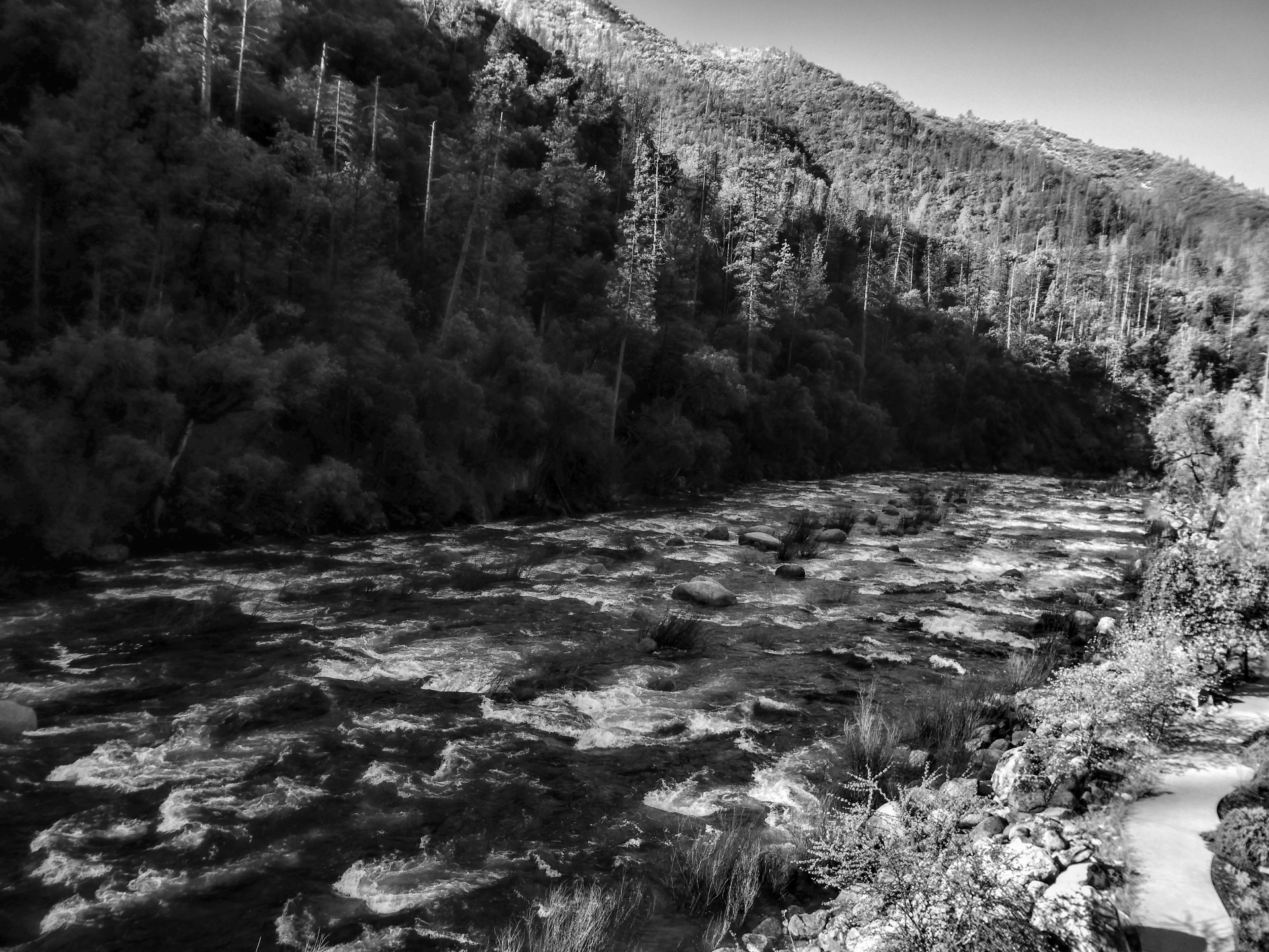Merced River In Yosemite