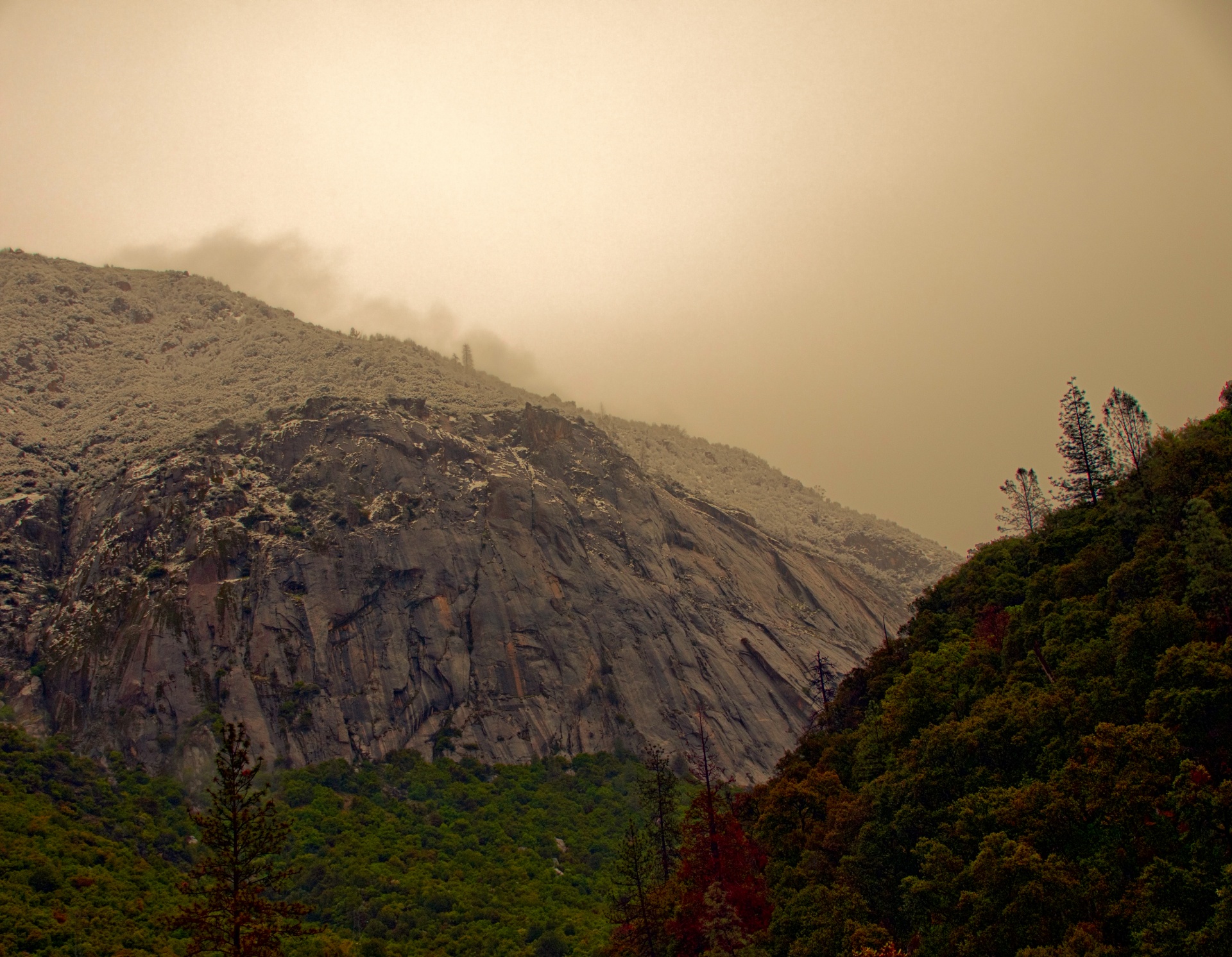 晨雾在山中