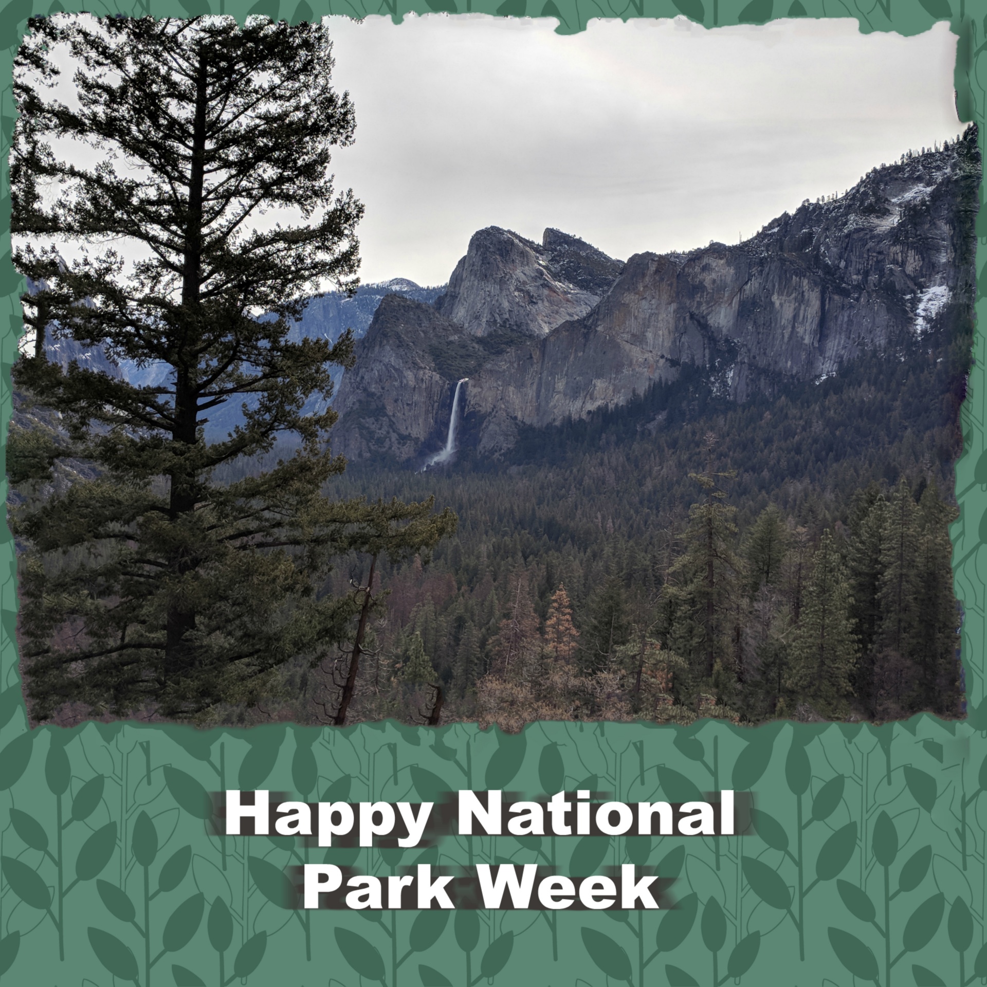 Nationaal Parkweek