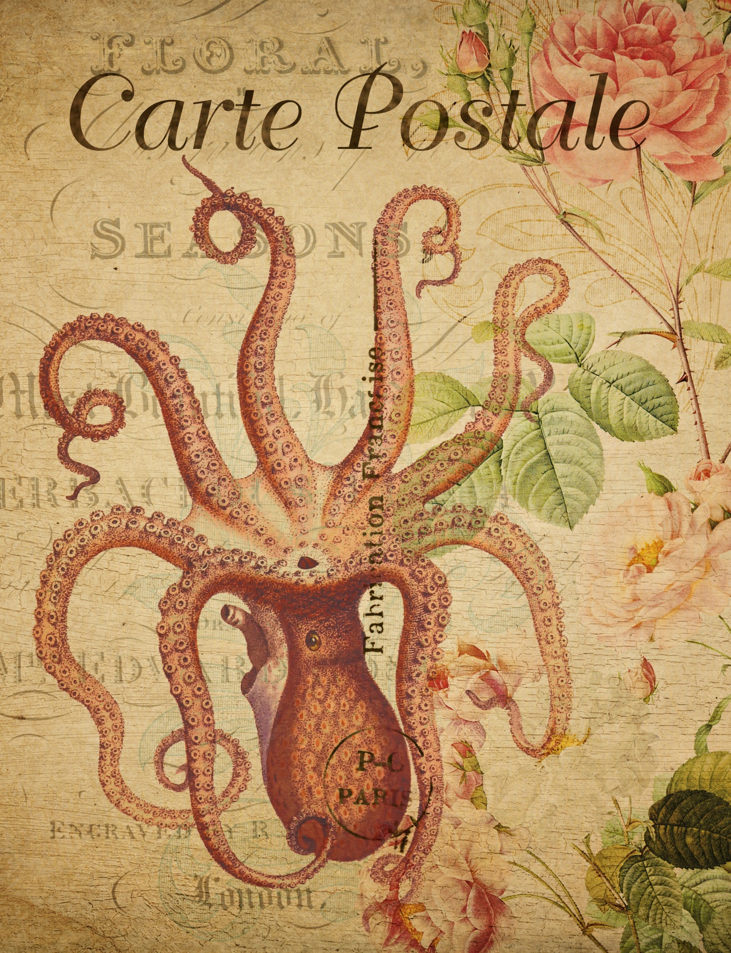 Octopus, Squid Vintage briefkaart