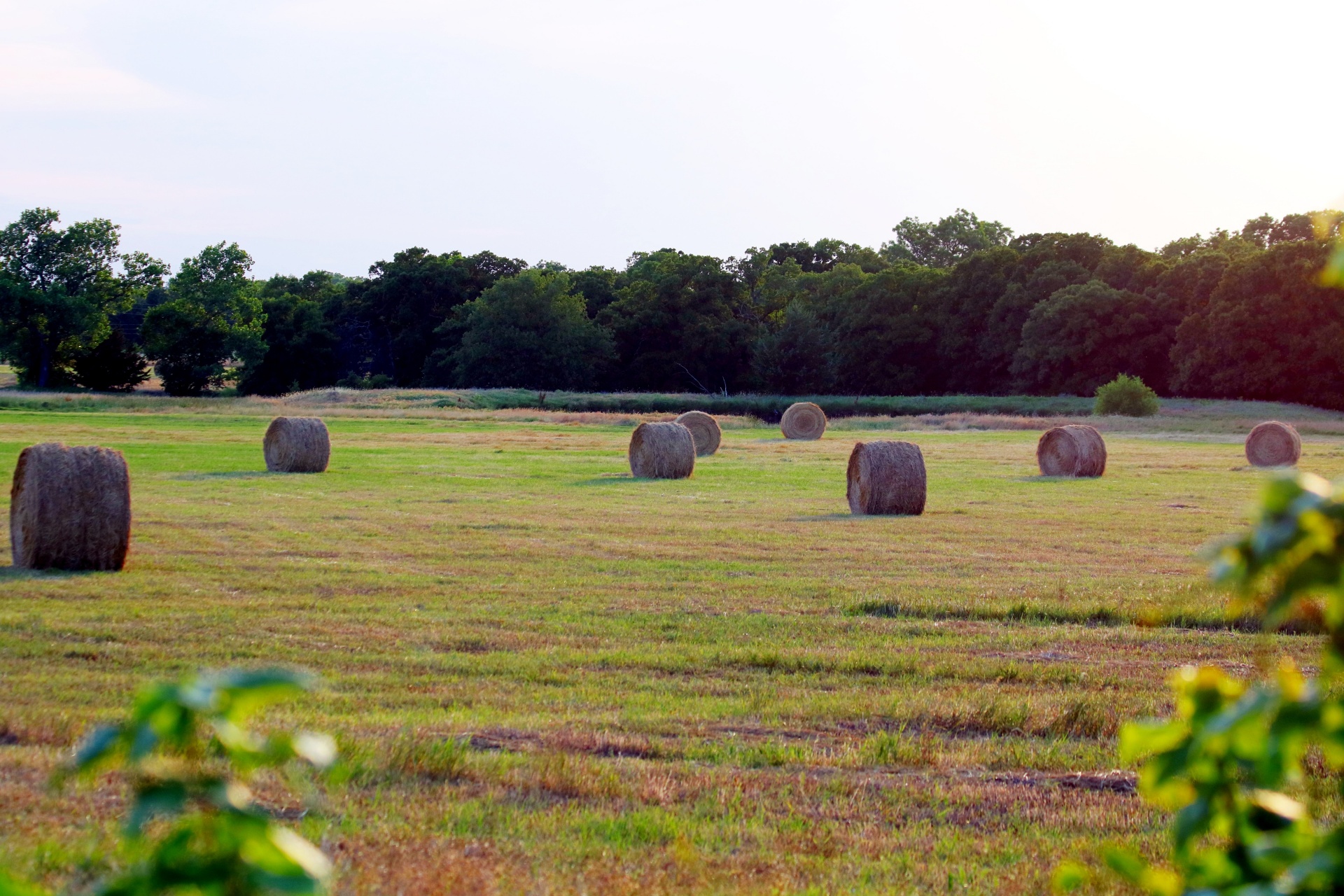Oklahoma Hay Field