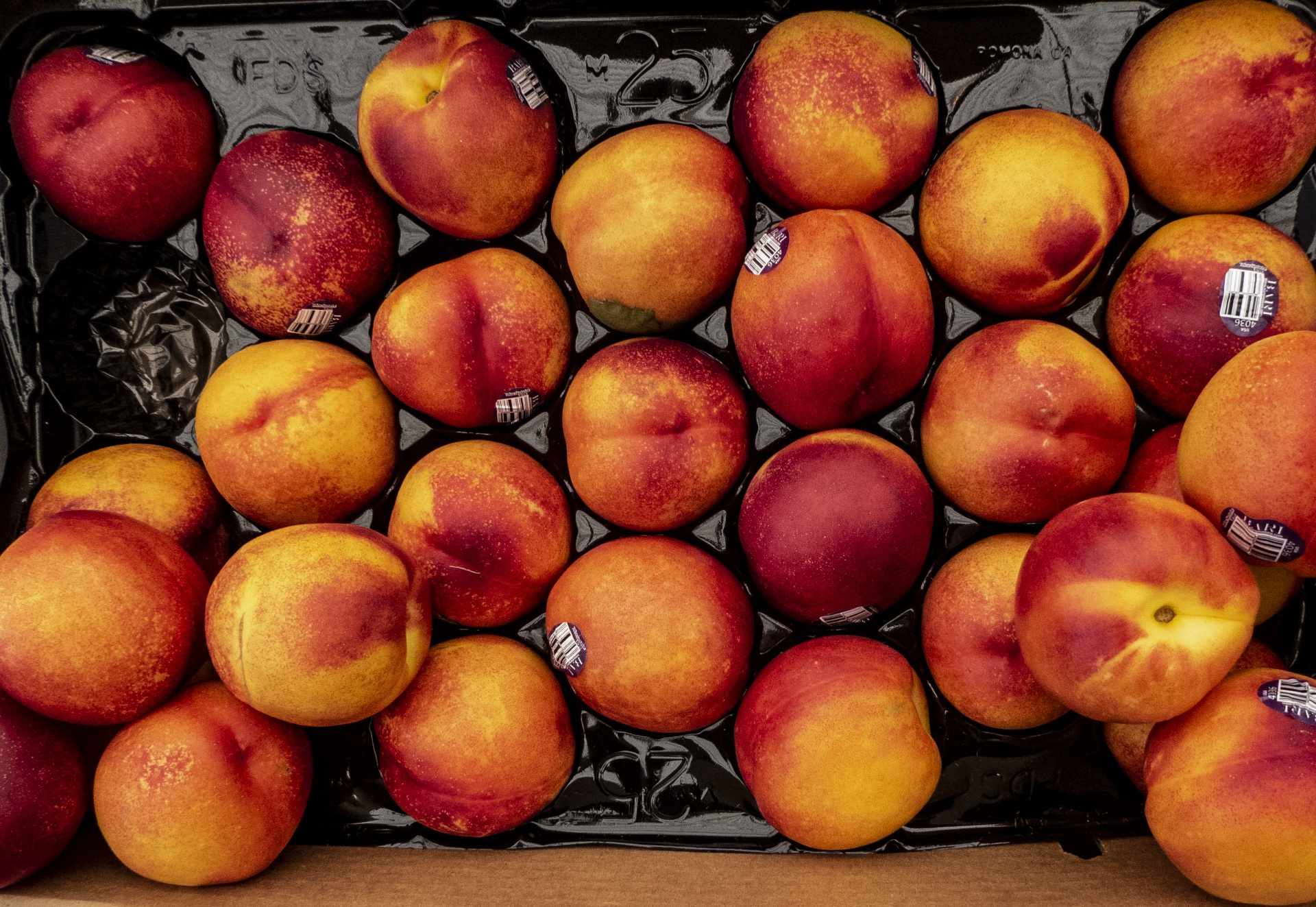 Patroon in nectarines