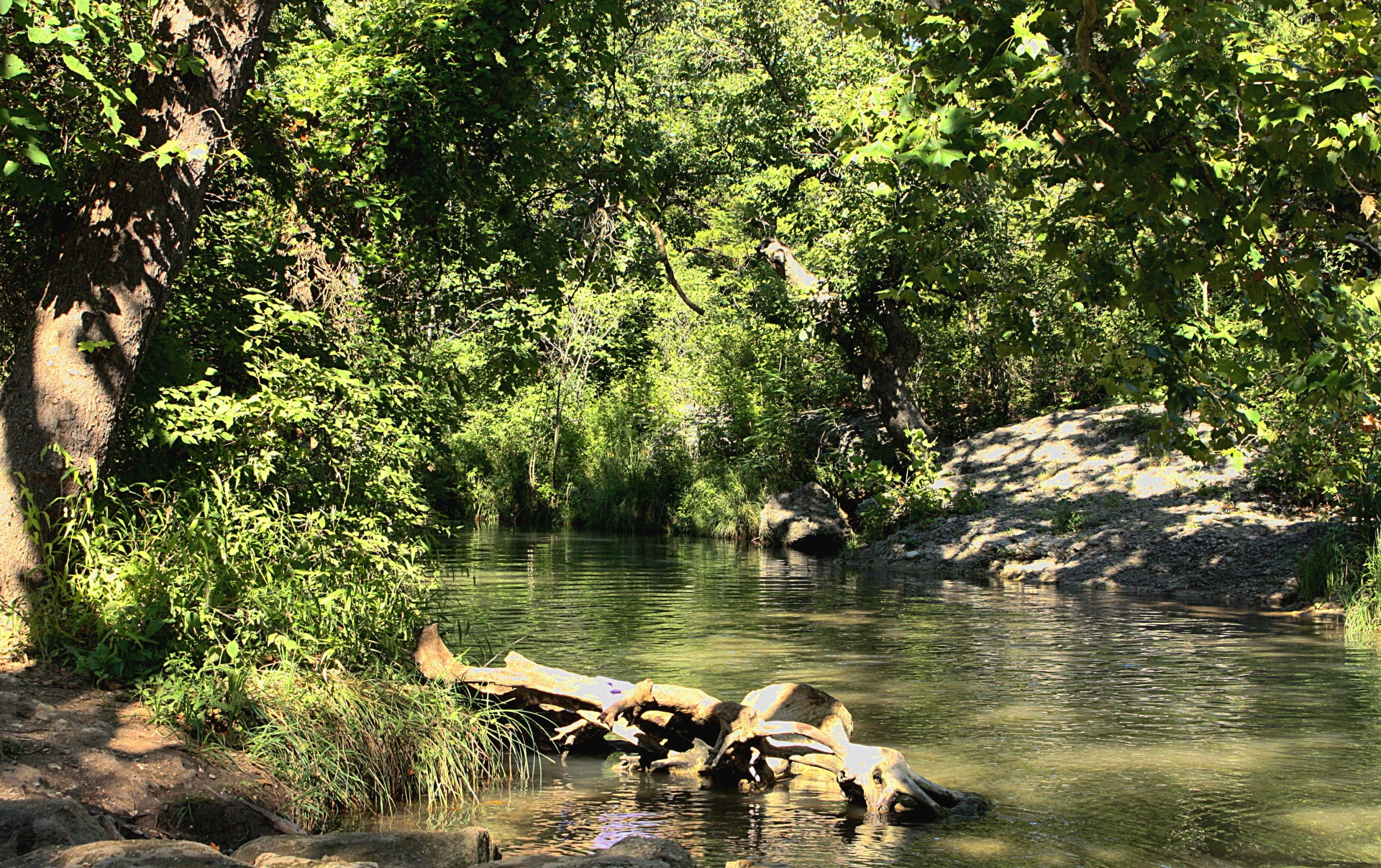 平安的小溪在夏天