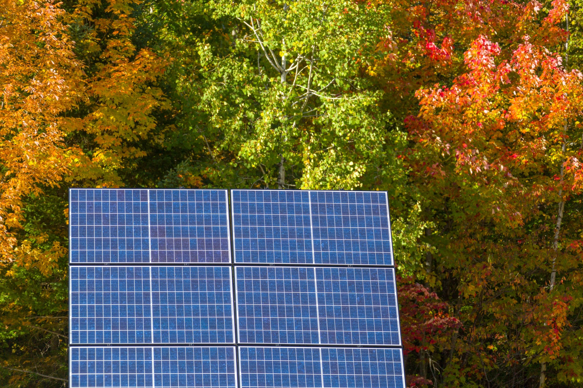 Panneaux photovoltaïques à l'automne