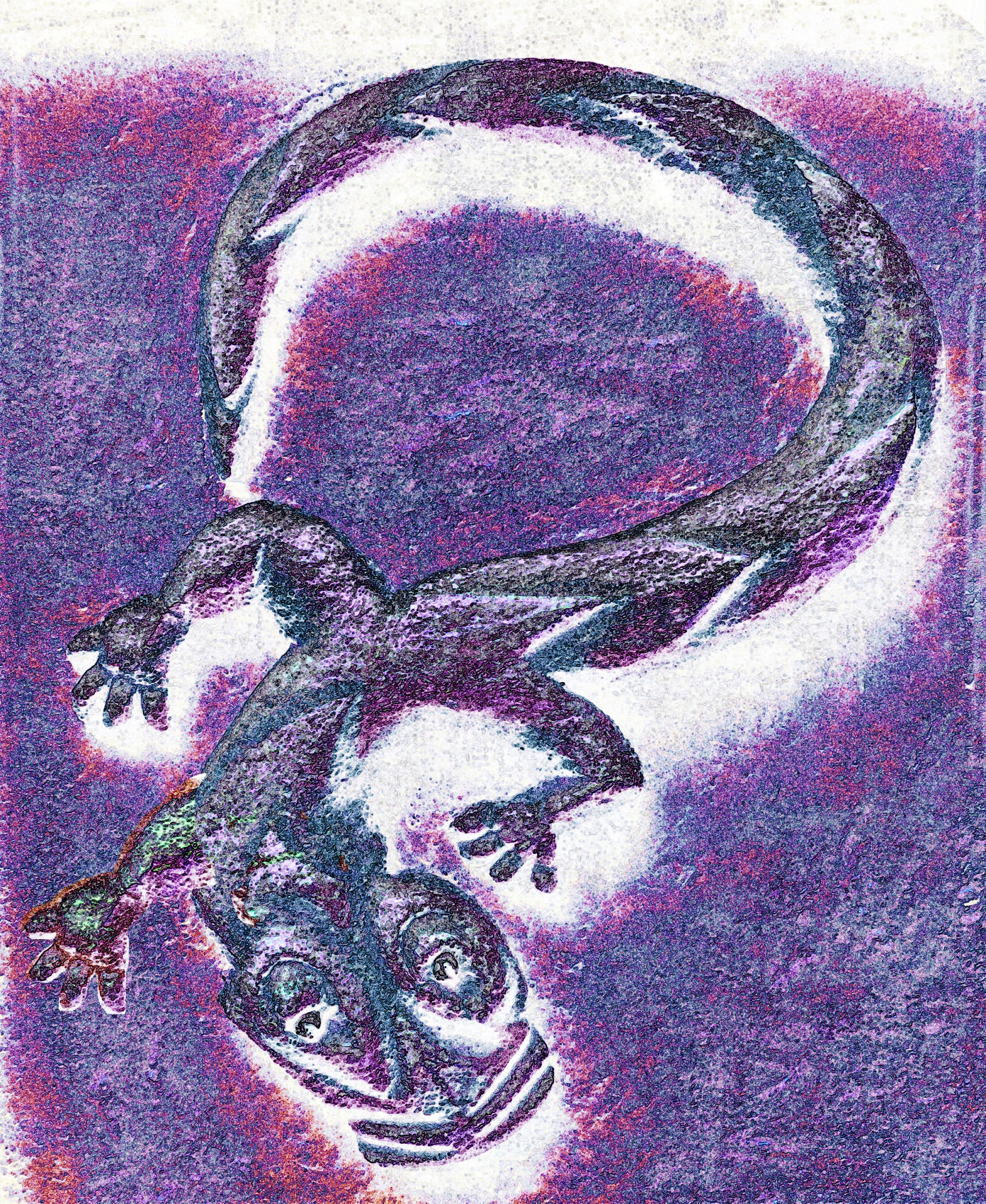 紫色艺术壁虎绘图