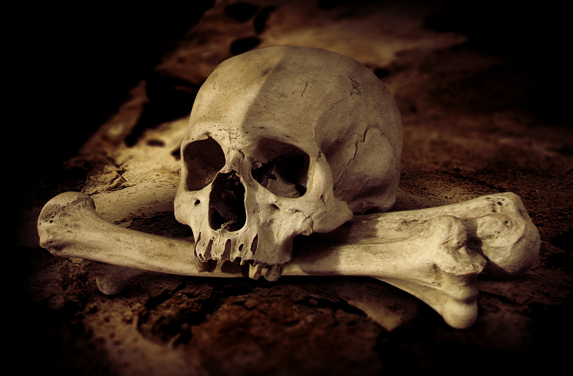 Cráneo real y huesos cruzados